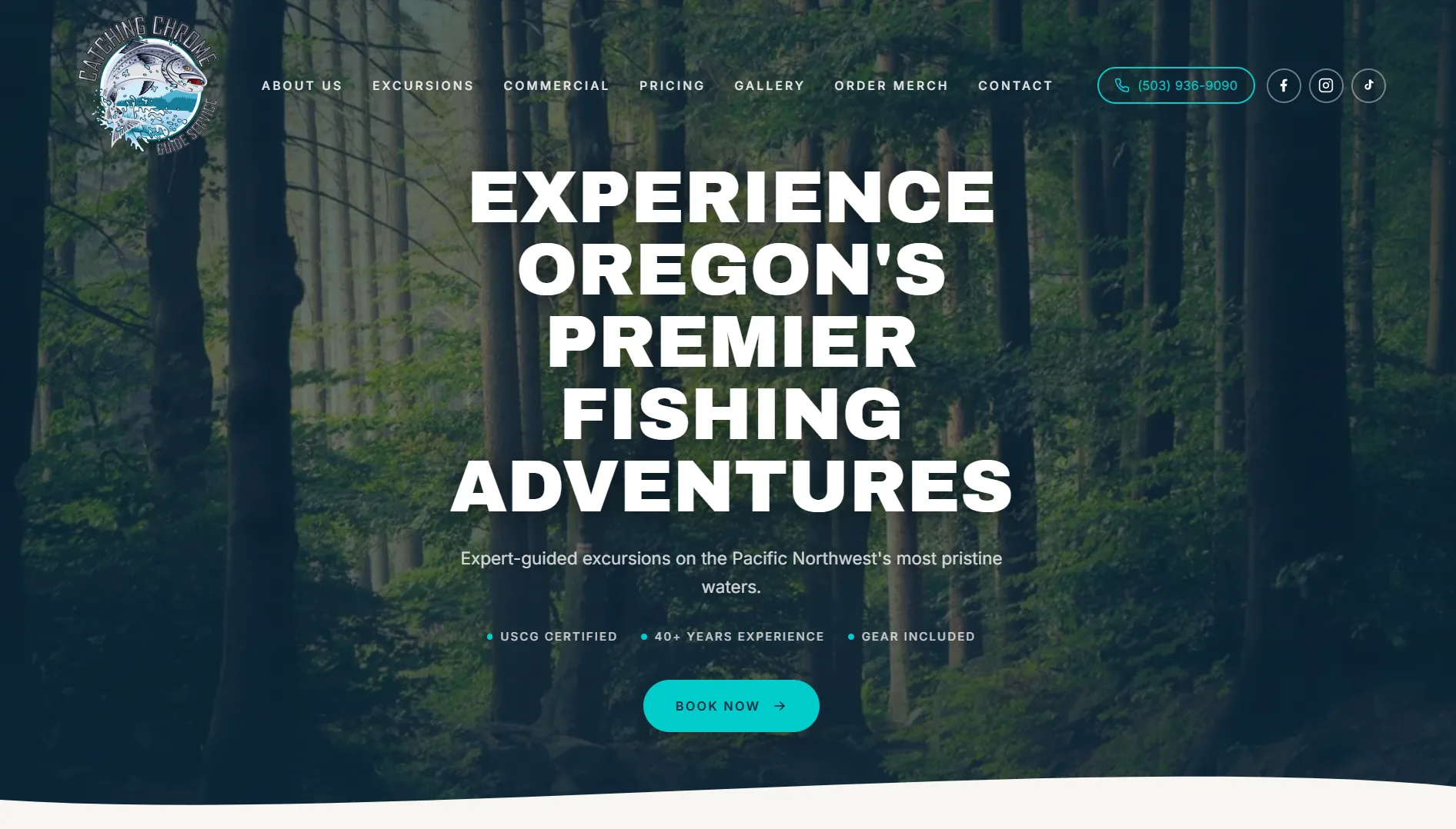 Catching Chrome website screenshot